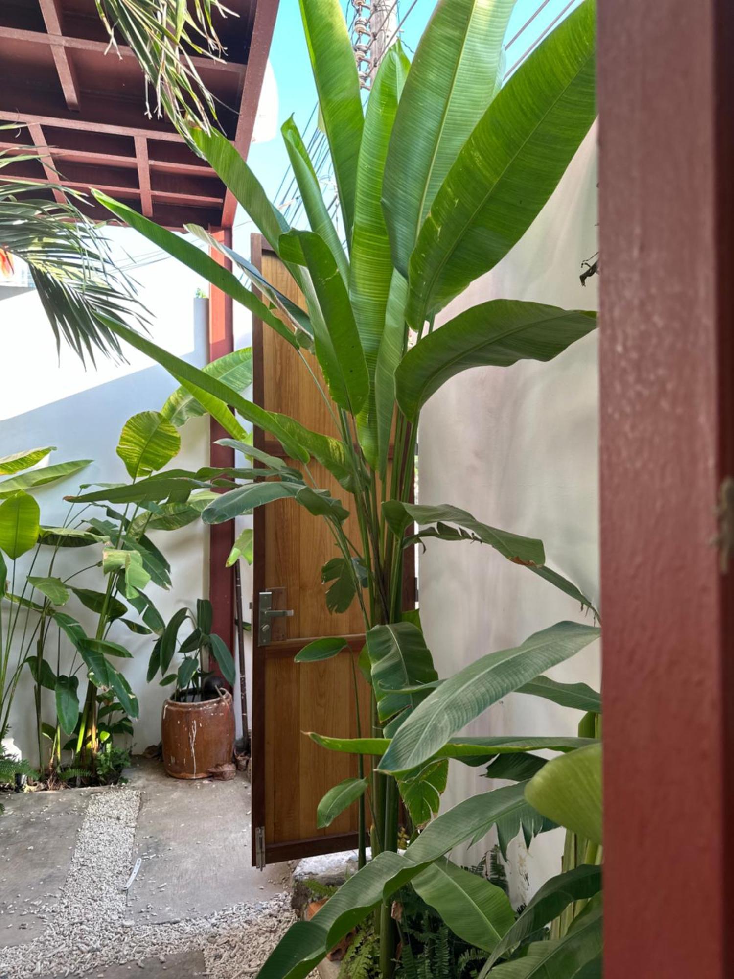 Palmcalina - Phuqui Beach House Cu Lao Thu Buitenkant foto