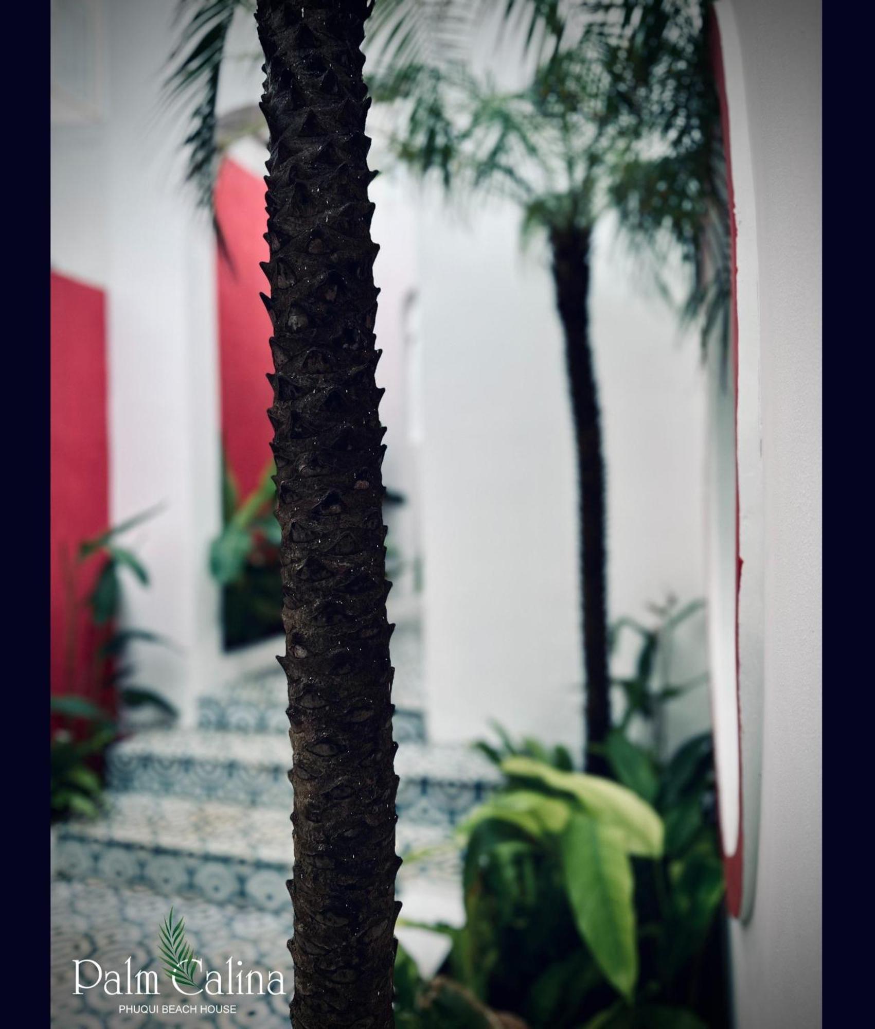 Palmcalina - Phuqui Beach House Cu Lao Thu Buitenkant foto